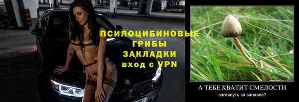 МДПВ Абдулино