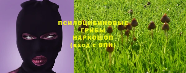 прущие крисы Алексин