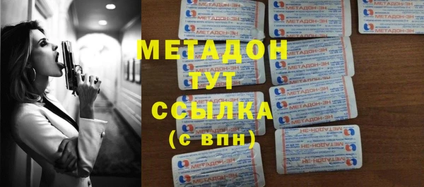 шишки Абаза