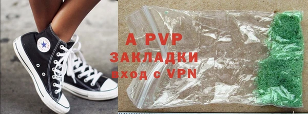 шишки Абаза