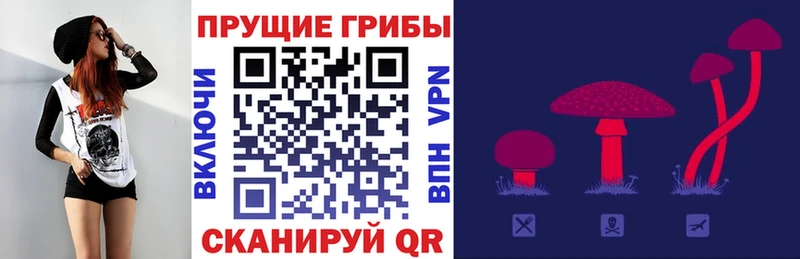 Галлюциногенные грибы MAGIC MUSHROOMS  Змеиногорск 